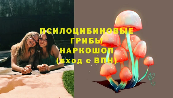 a pvp Верея
