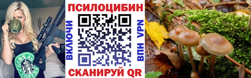 Галлюциногенные грибы прущие грибы  Цоци-Юрт 